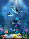 海洋馆
