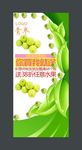 青枣展架