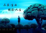 品质生活