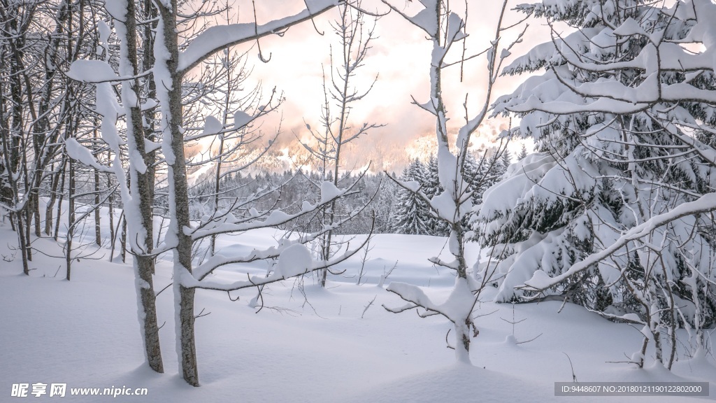 森林雪山风景图片