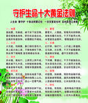黄金法则