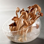 火锅蘑菇菜品图片