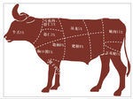 牛肉分解图