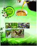 茶子油