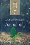 清新二十四节气之雨水海报
