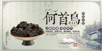 中草药何首乌海报宣传设计