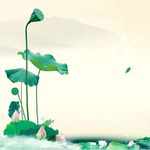 荷花背景