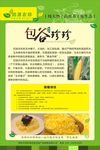 包谷珍珍