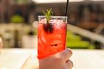 鸡尾酒 cocktail