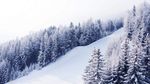 雪景