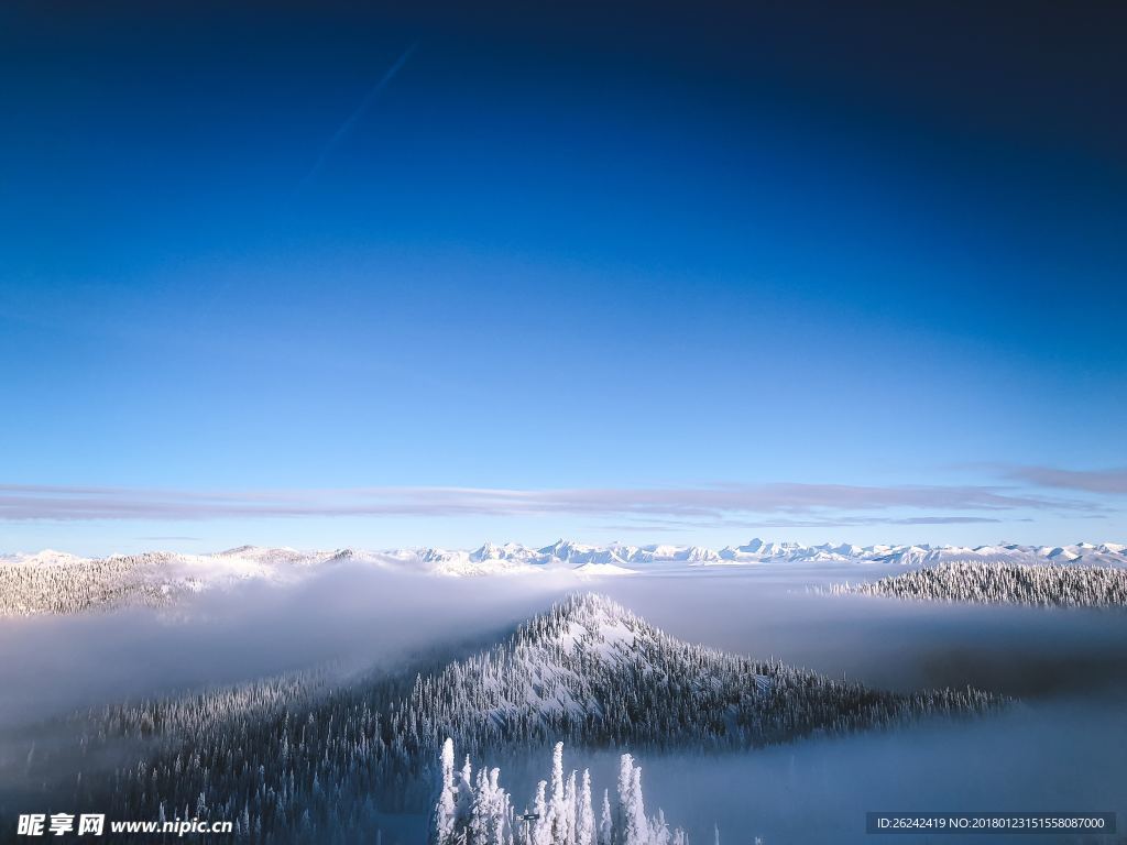 雪景