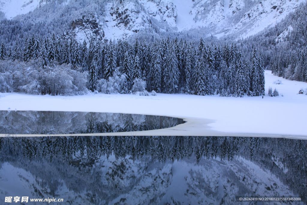 雪景