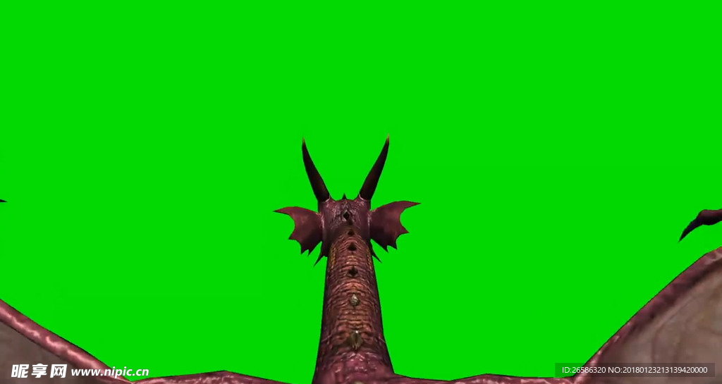 恐龙飞翔绿屏抠像视频素材