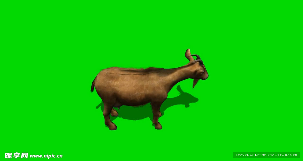 山羊绿屏抠像视频素材