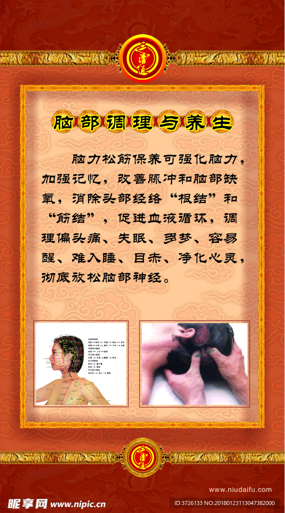 脑部调理养生