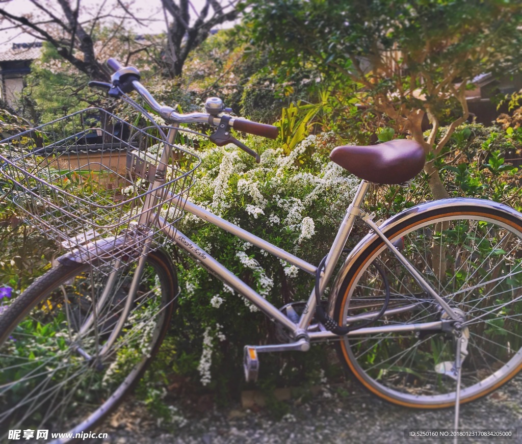 日本自行车