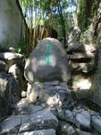 石桃