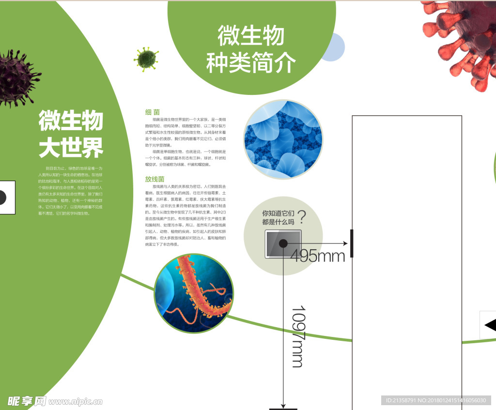 生物科学