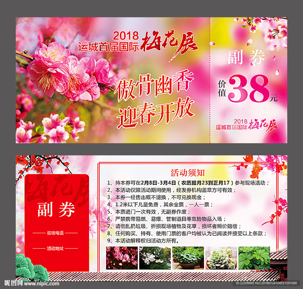 梅花展门票图片