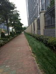 路边