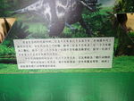 恐龙