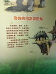 恐龙