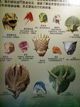 恐龙