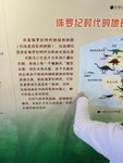 恐龙