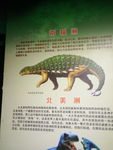 恐龙