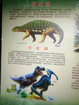 恐龙