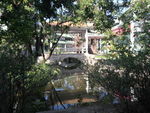 池塘