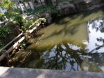 湖泊