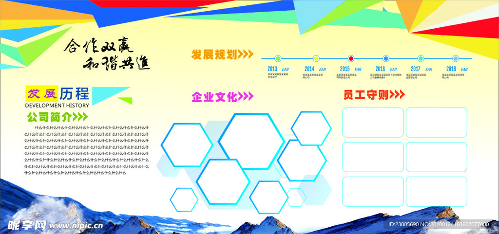 公司发展历程简介