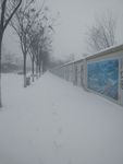 雪地脚印
