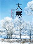 大寒海报 唯美雪景 节气海报