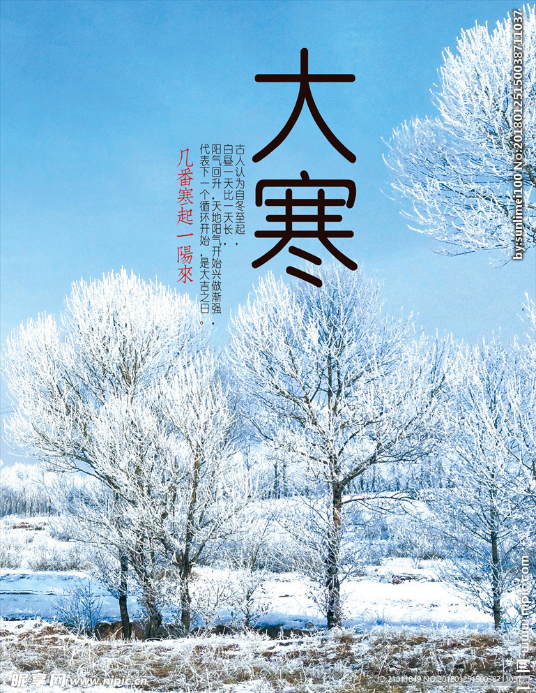 大寒海报 唯美雪景 节气海报