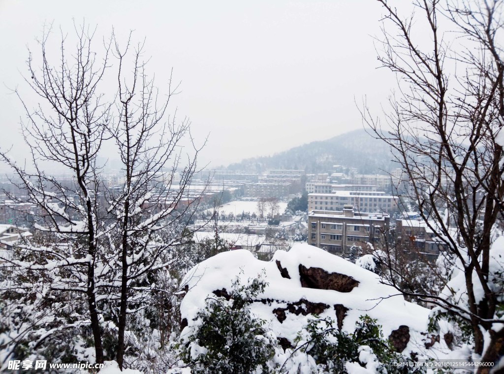 冬日雪景