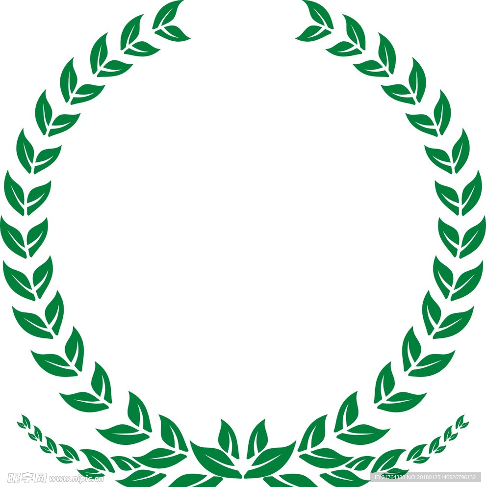 橄榄枝