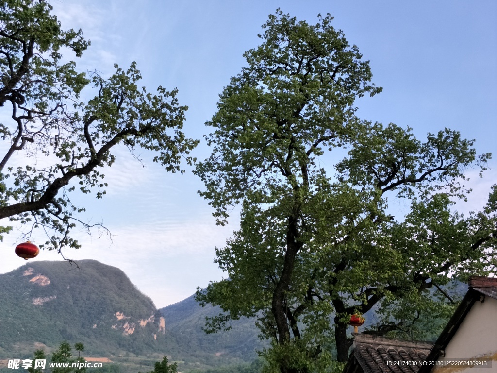 陇南的山