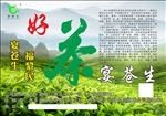 茶叶广告