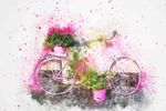 自行车  花