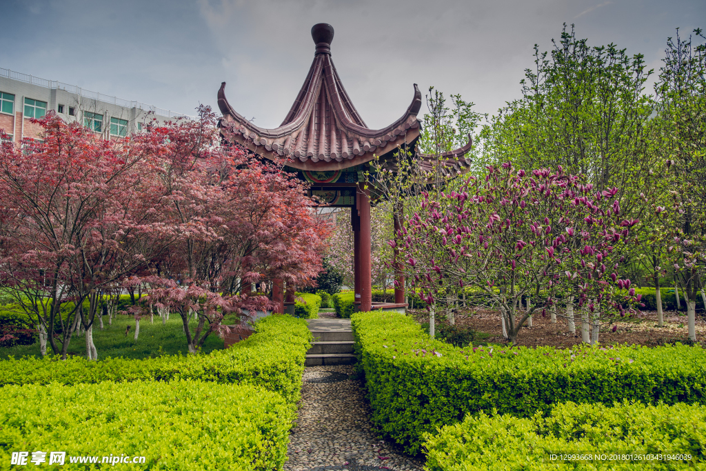 园林风景照片