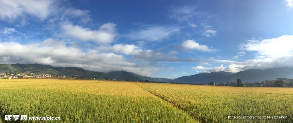 风景 田园 自然景色