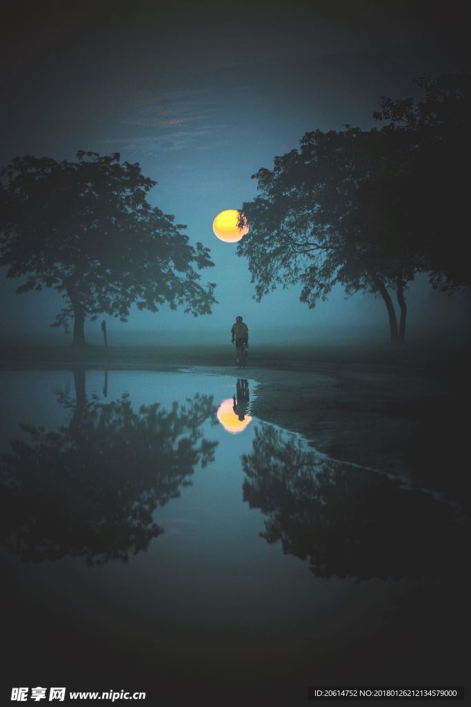 夜空中的明月