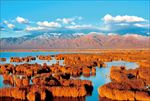 沙湖风景