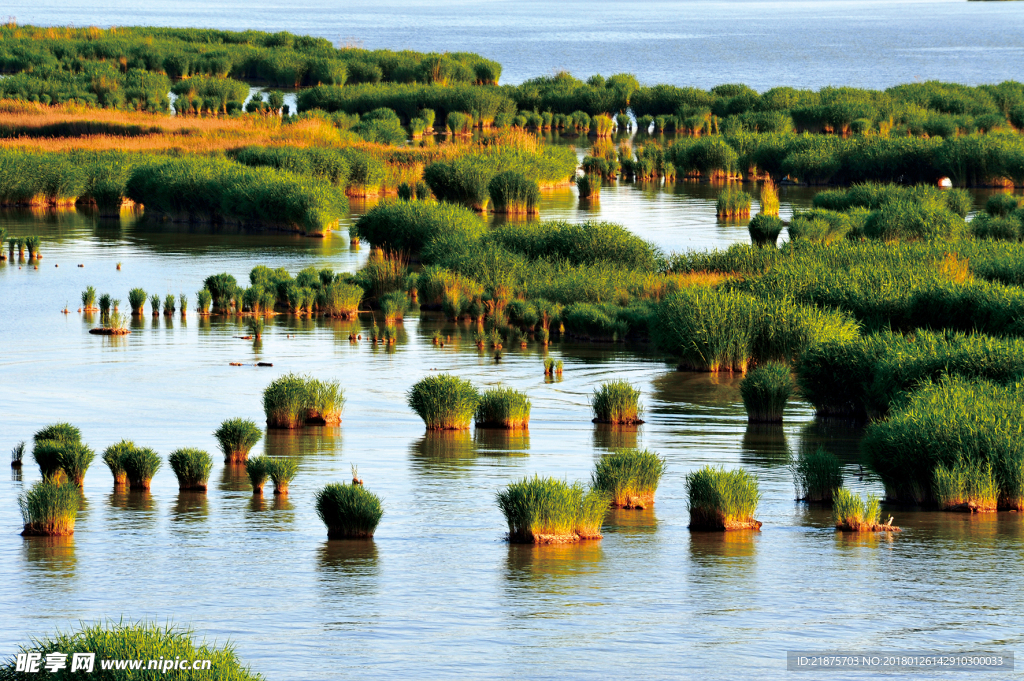 沙湖风景