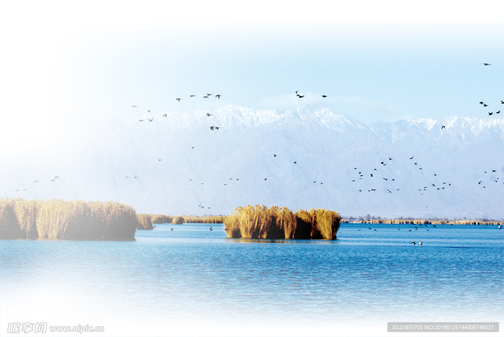 沙湖美景