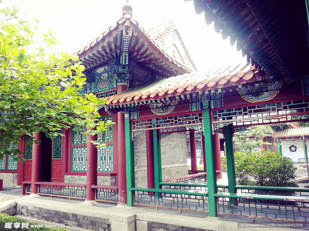 圆明新圆