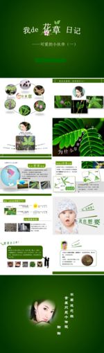 PPT PPT模板 总结PPT