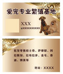 爱宠名片